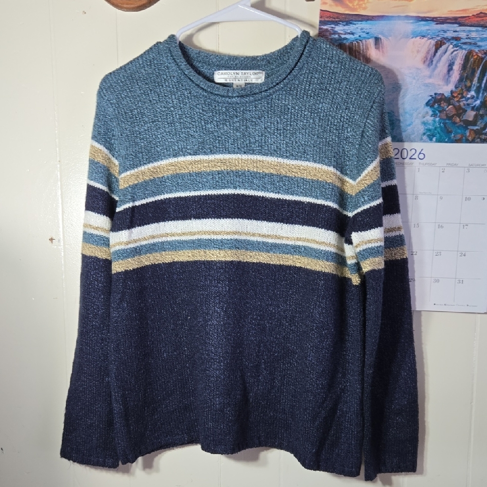 Carolyn Taylor Women's Blue and Beige Striped Long Sleeve Top